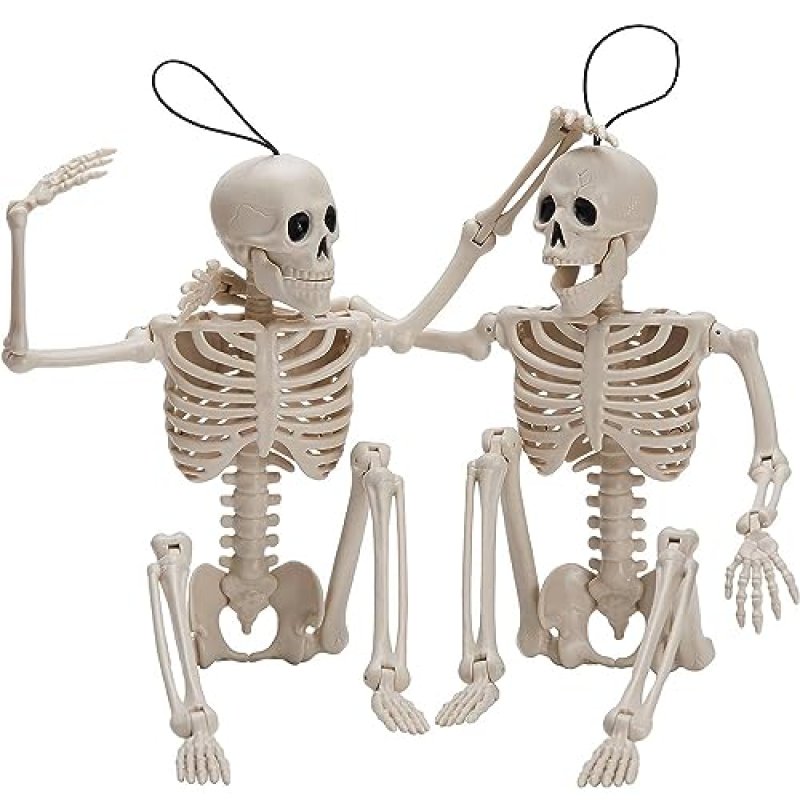 JOYIN 16-Inch Posable Skeletons
