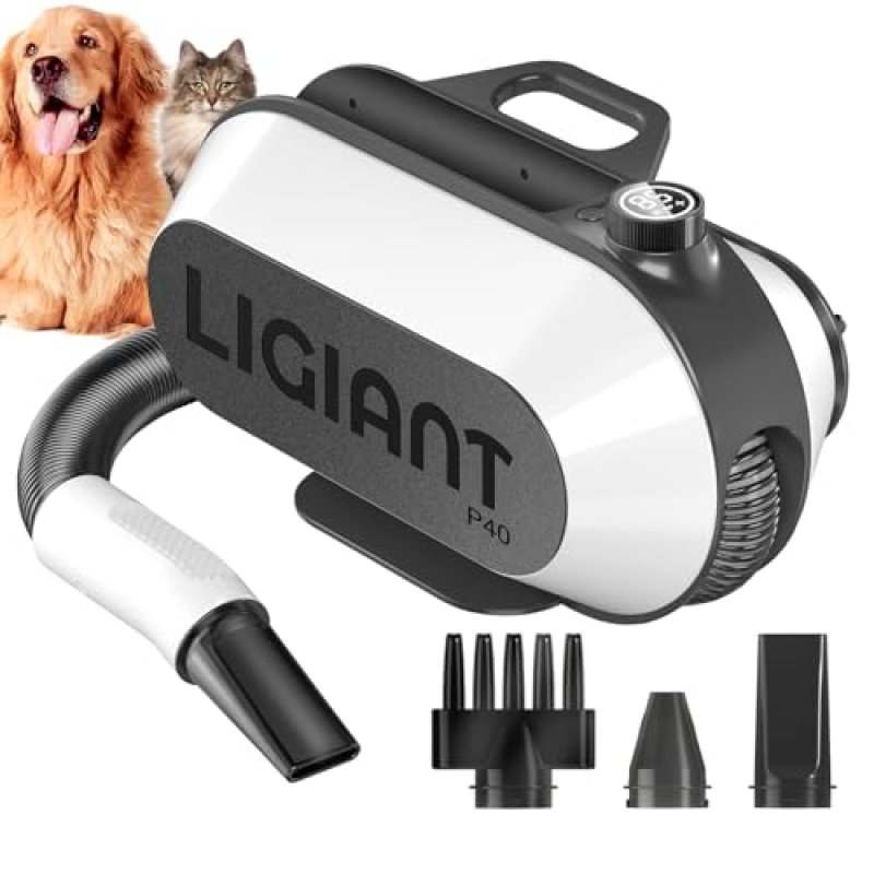 LIGIANT P40 Hair Dryer