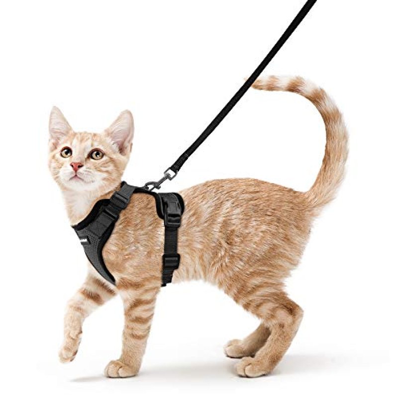 Rabbitgoo Cat Harness
