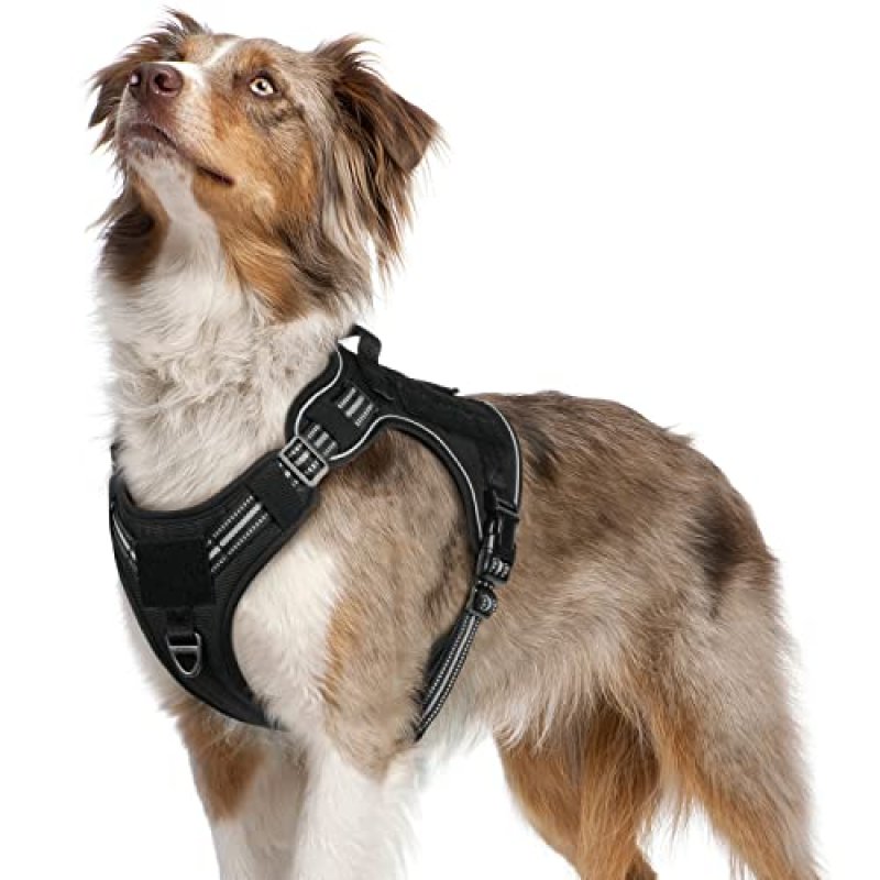 Rabbitgoo Dog Harness