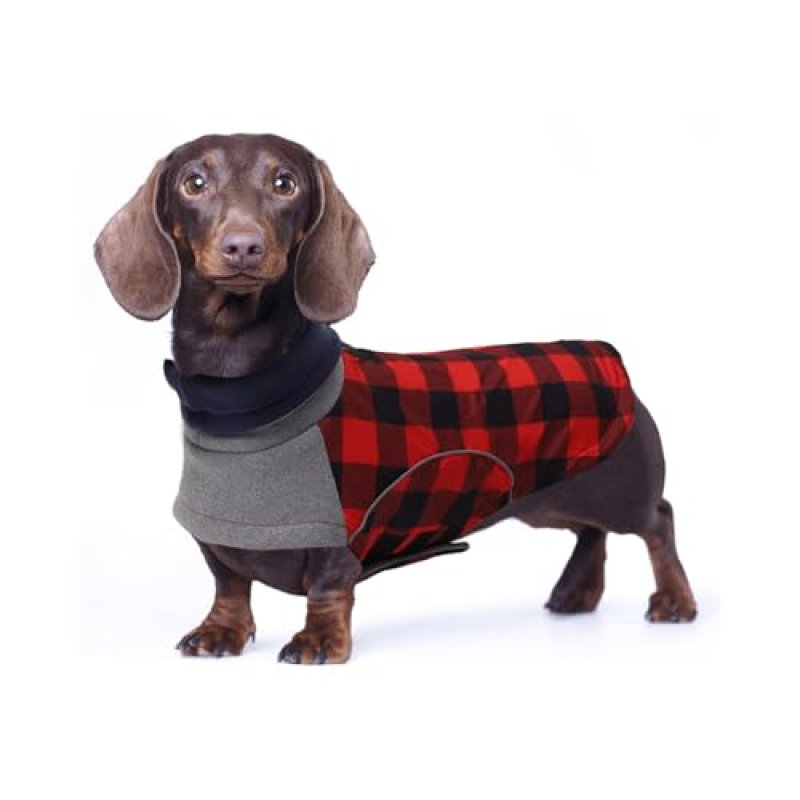 Babepet Dog Coat