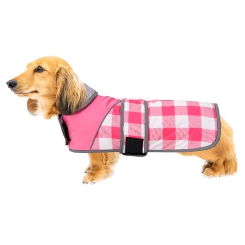 Dachshund Waterproof Coat
