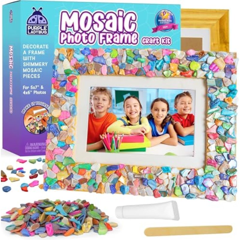 Ladybug Mosaic Craft Kit for Kids