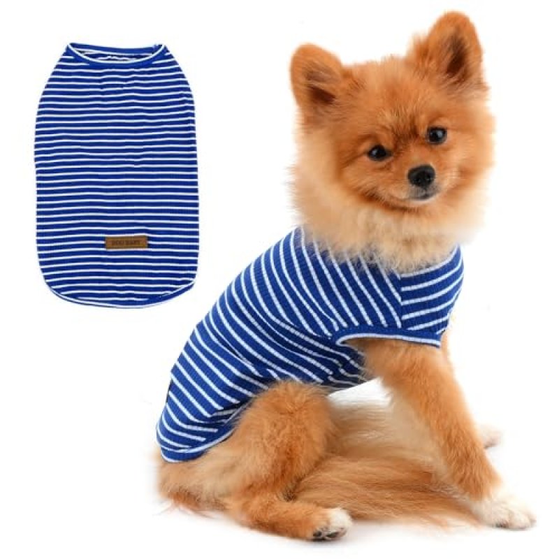 Paideful Dog T-Shirt