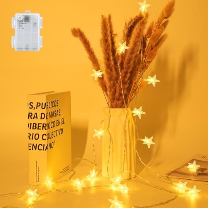 FFZZKJ Fairy Lights