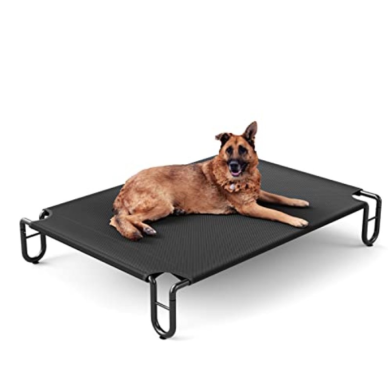FAYDUDU Raised Dog Bed