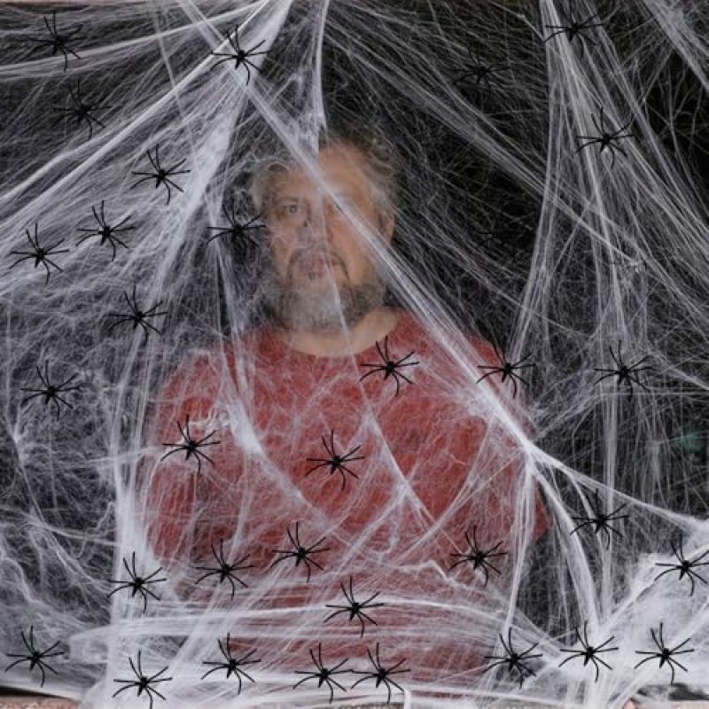 Halloween Spider Web Set