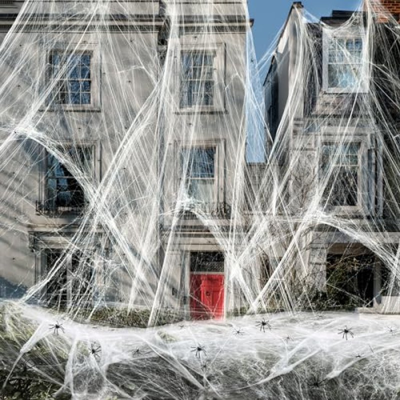 Halloween Stretchable Spider Web