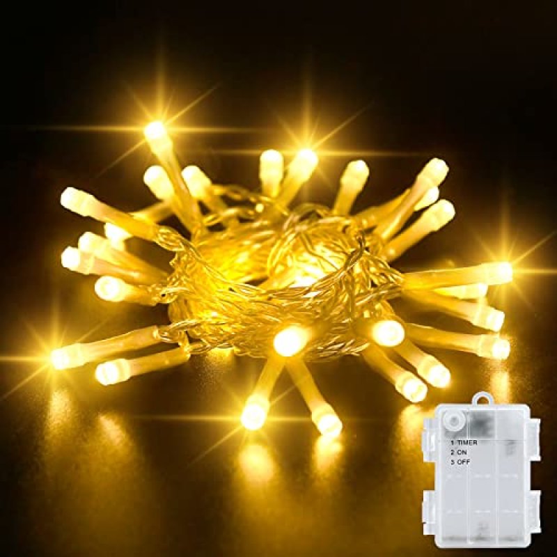 Dalugo Battery Fairy Lights