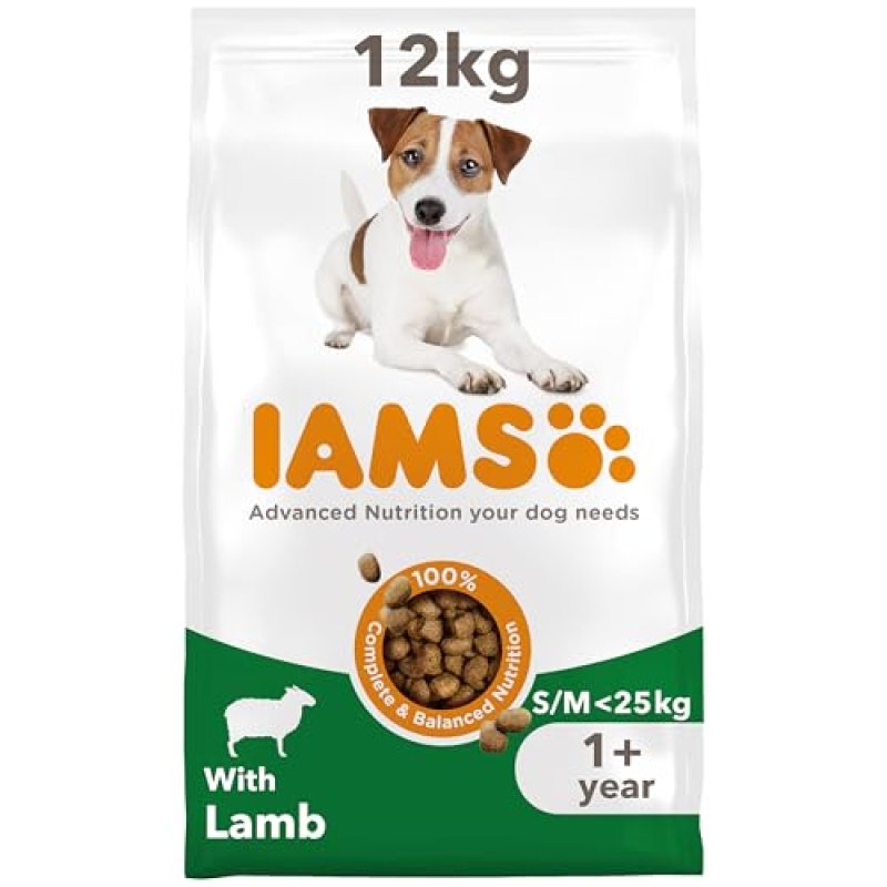 IAMS Lamb Dry Dog Food
