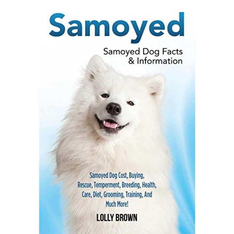 Samoyed Dog Guide
