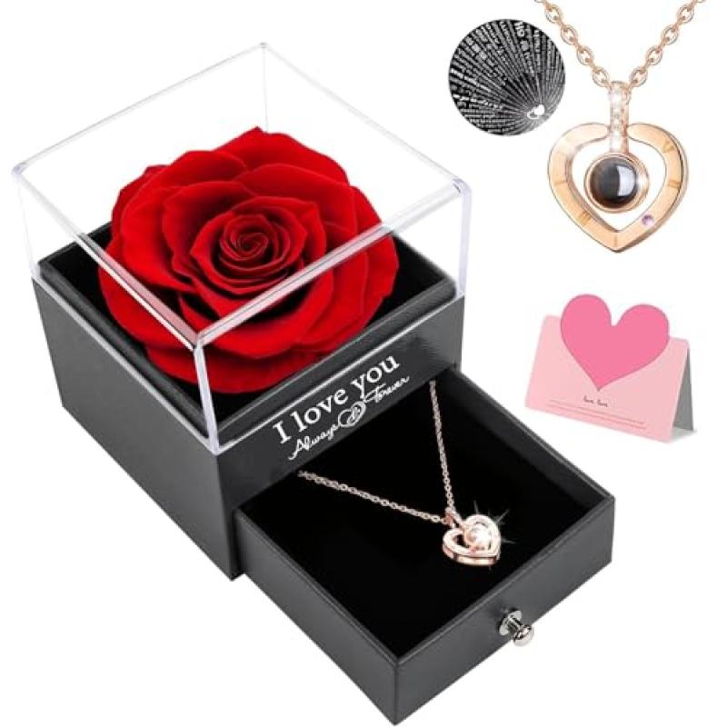 Ranedo Eternal Rose & Necklace Gift Set