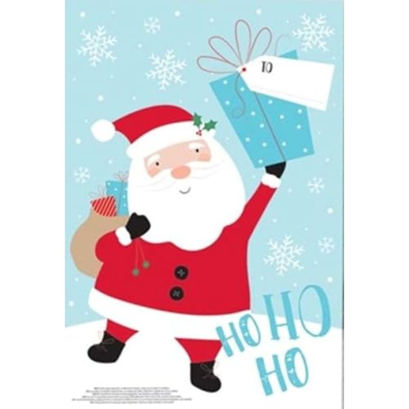 FANCYDRESSCOZ Santa Sacks