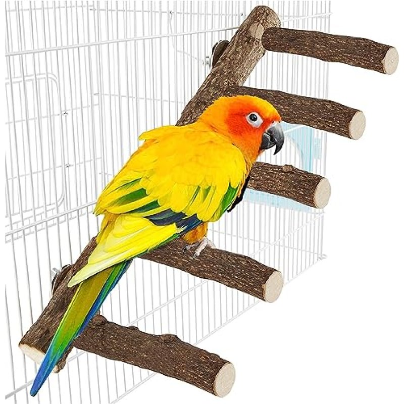 Parrot Wood Stand