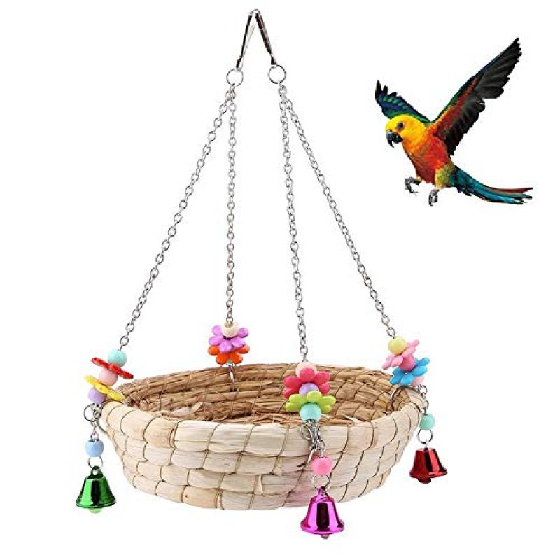 Parrot Toy and Nest