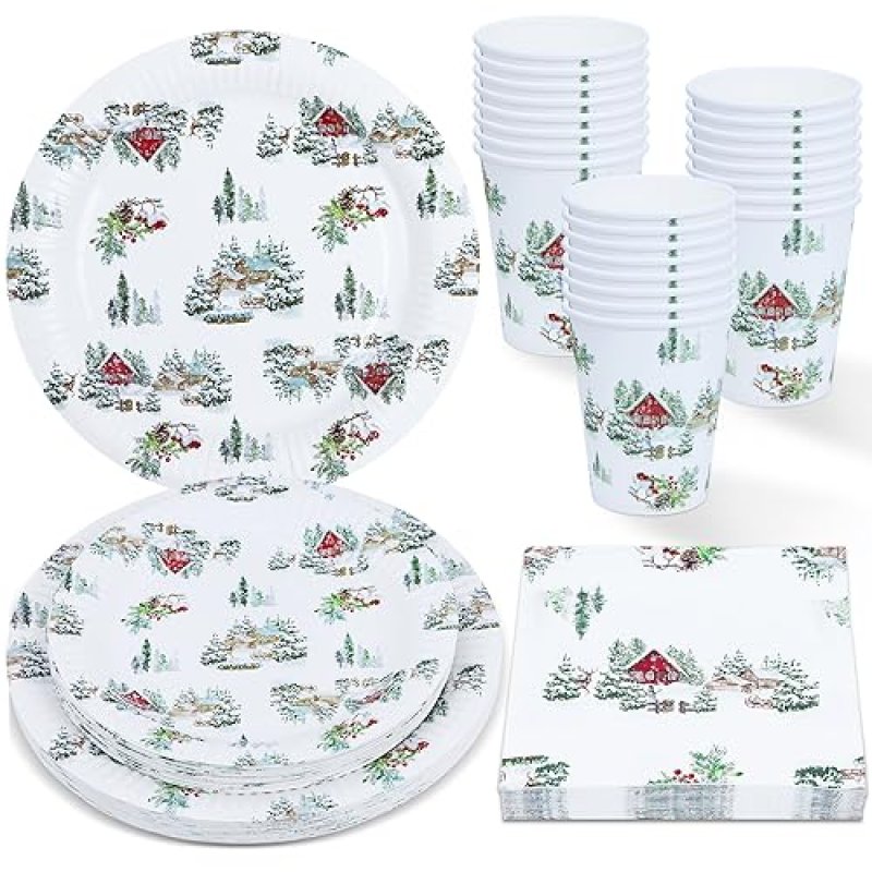 ZVK Party Tableware Set