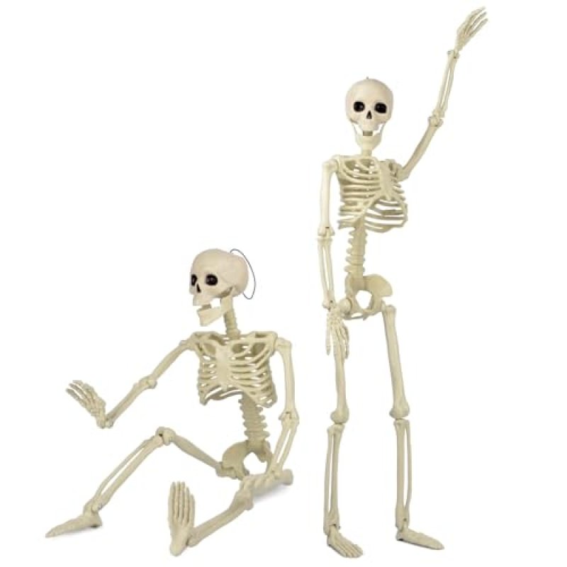 Taspire Posable Skeletons