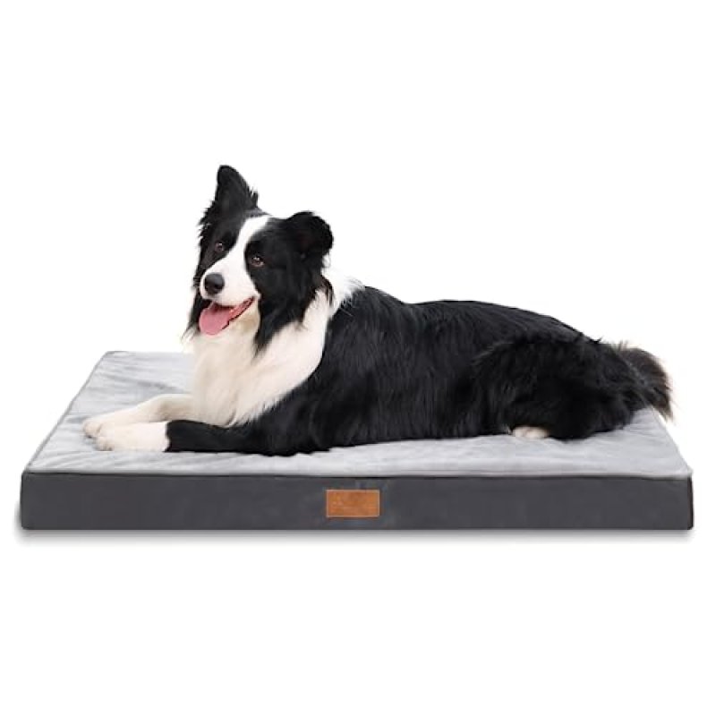 Jaspuriea Orthopedic Dog Bed