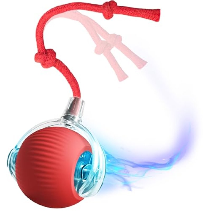 BCYPMYC Cat Ball Toy