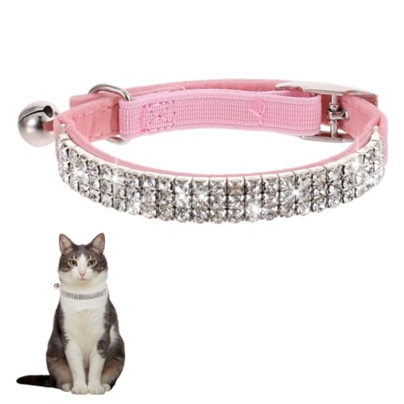 Cat and Small Dog Collar