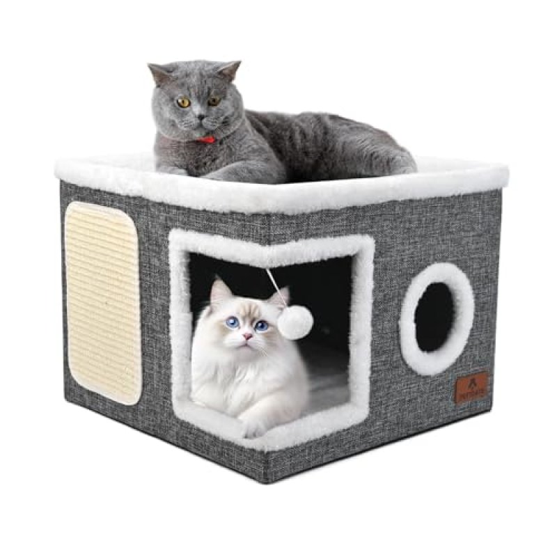 Cat House with Accessories