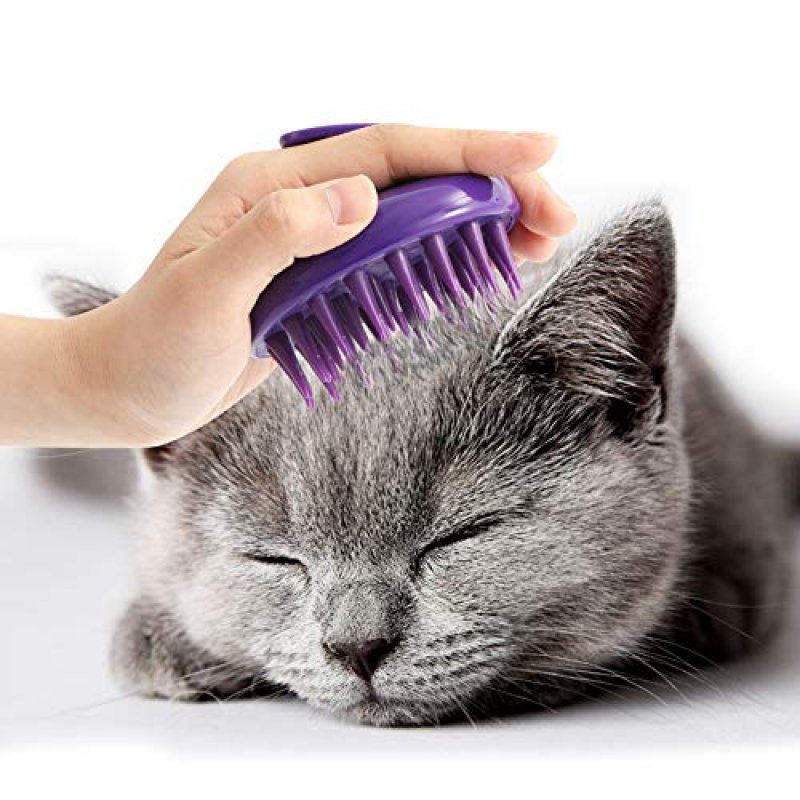 Cat Grooming Brush