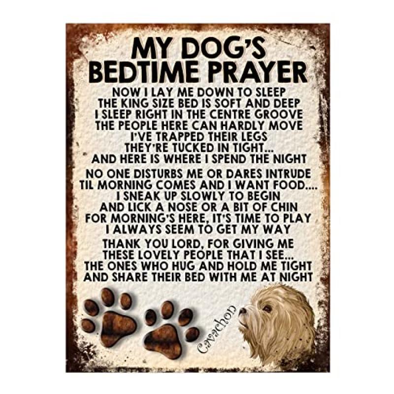 Cavachon Dog Metal Sign