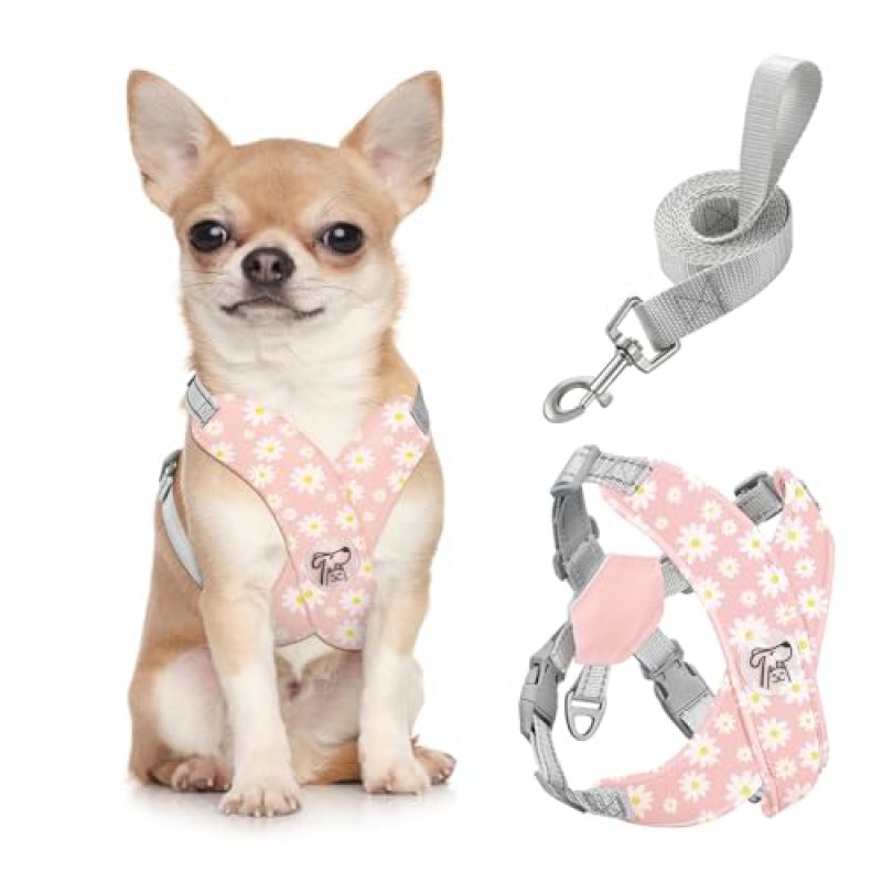 Pawaboo Puppy Harness Set