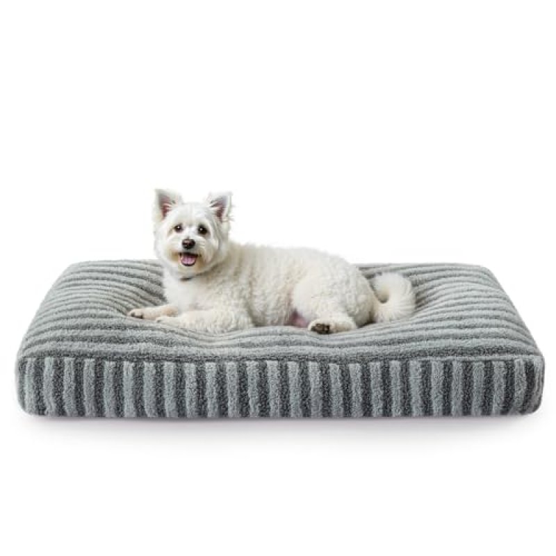 Pawk Small Dog Bed