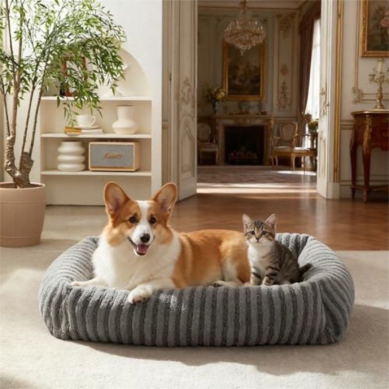 Pawk Small Dog Bed