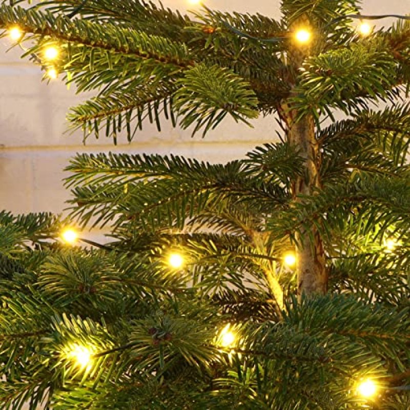 Qbis Outdoor Fairy Lights, 100 LED
