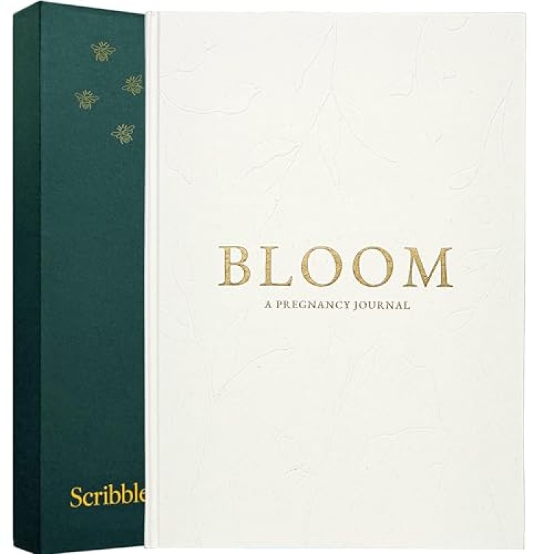 Scribble & Dot Journal