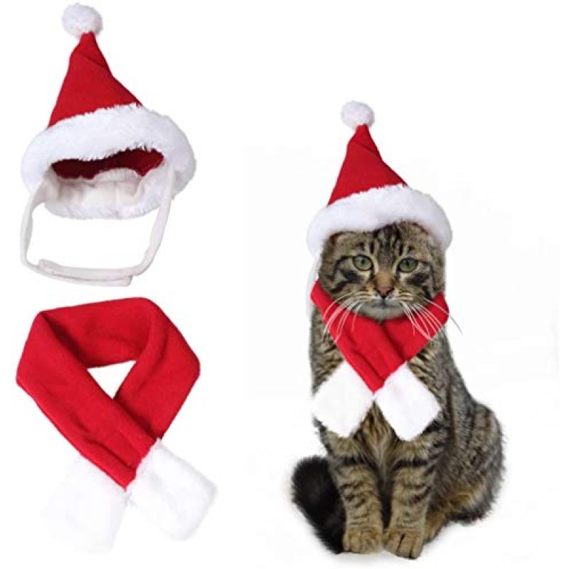 Edealing Pet Santa Set
