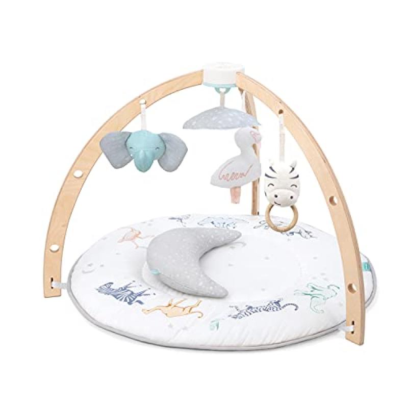 Aden + Anais Baby Activity Gym