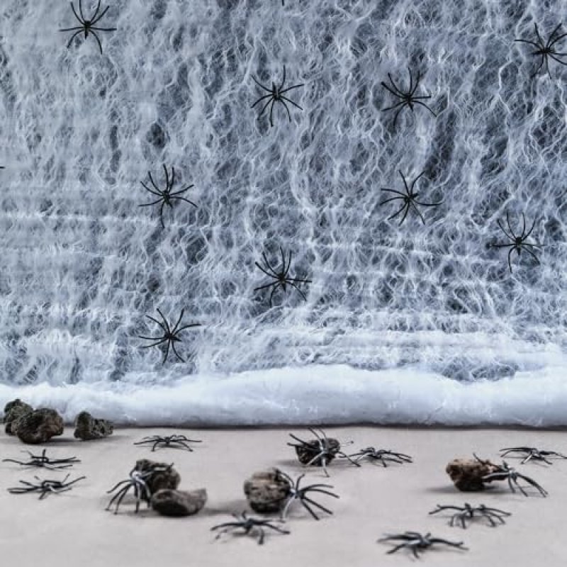 AeLion Halloween Spider Web Set