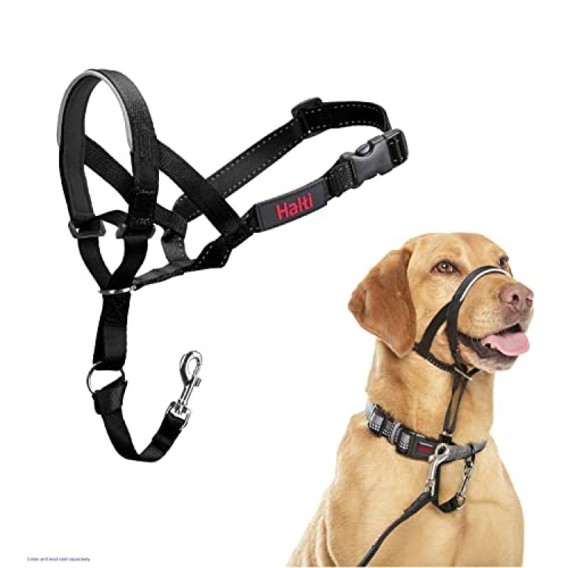 HALTI Headcollar for Dogs