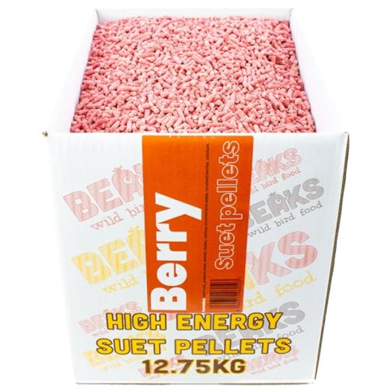 Beaks Bird Food Wild Berry