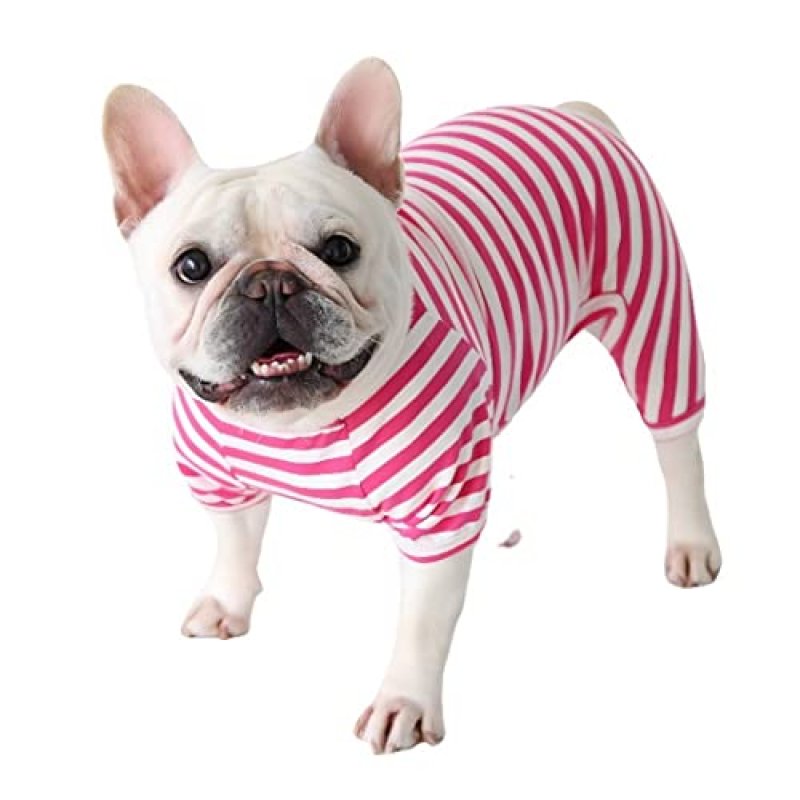 BT Bear Fat Dog Pajamas