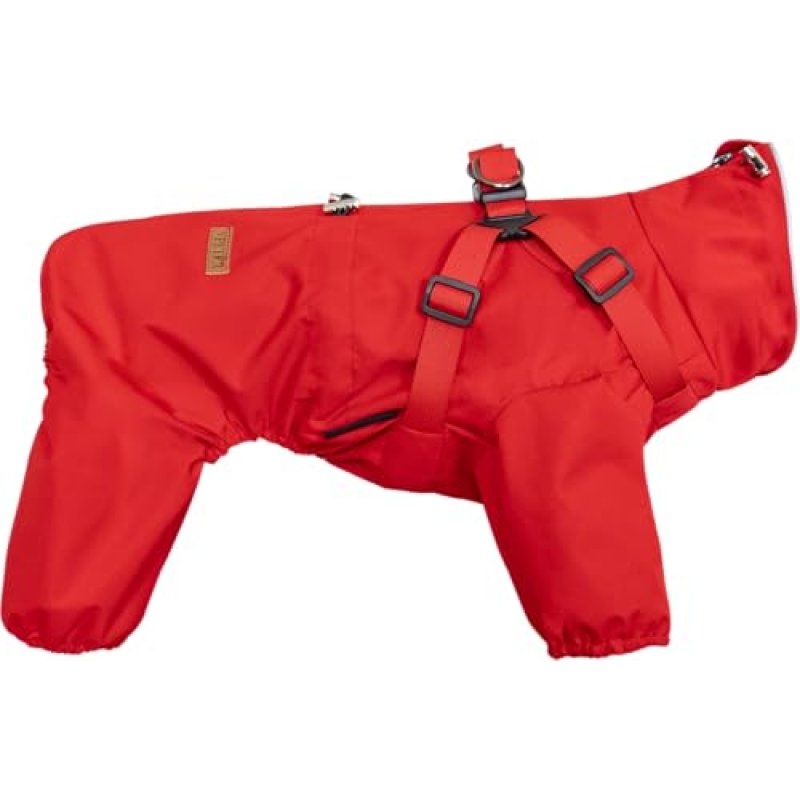 BT Bear Dog Raincoat
