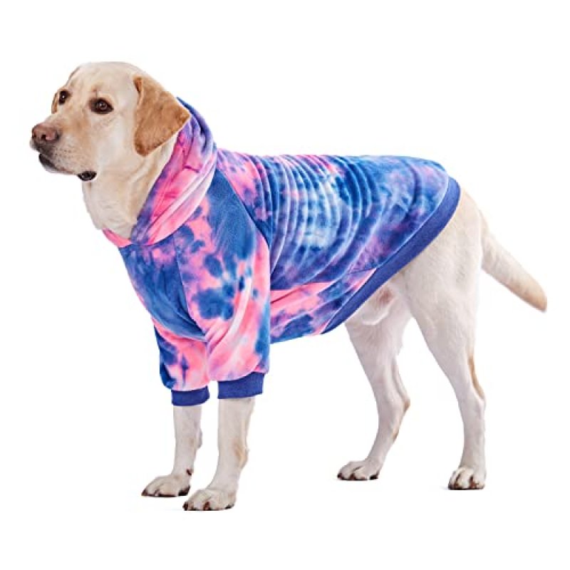 BT Bear Dog Hoodie
