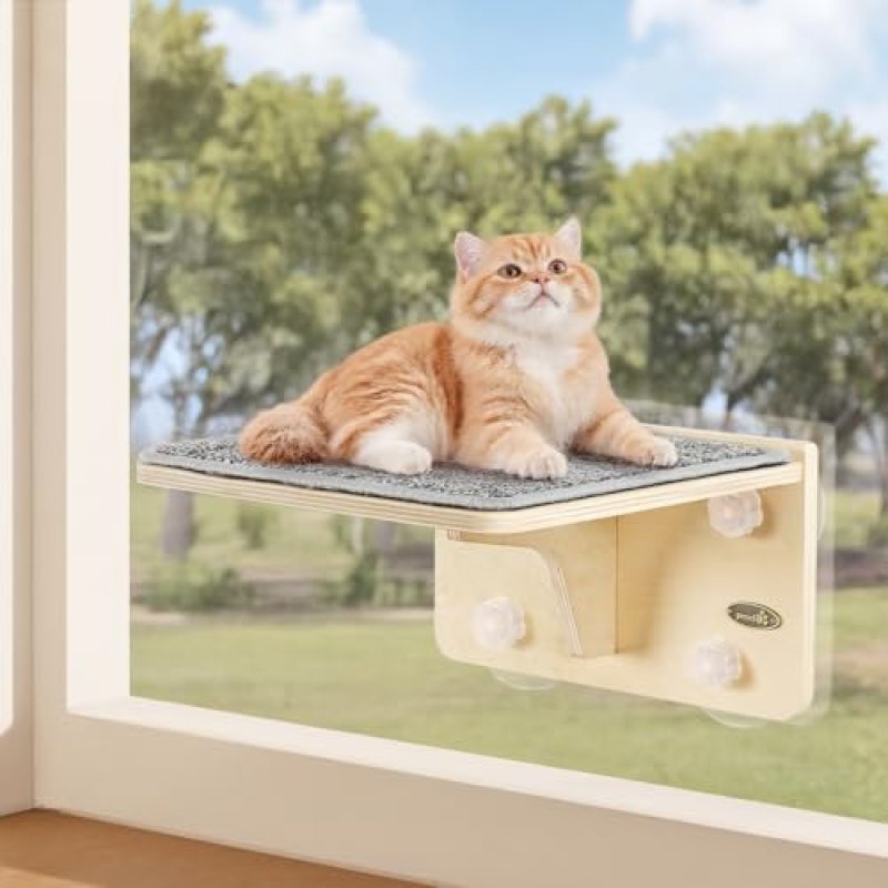 Pecute Cat Window Shelf