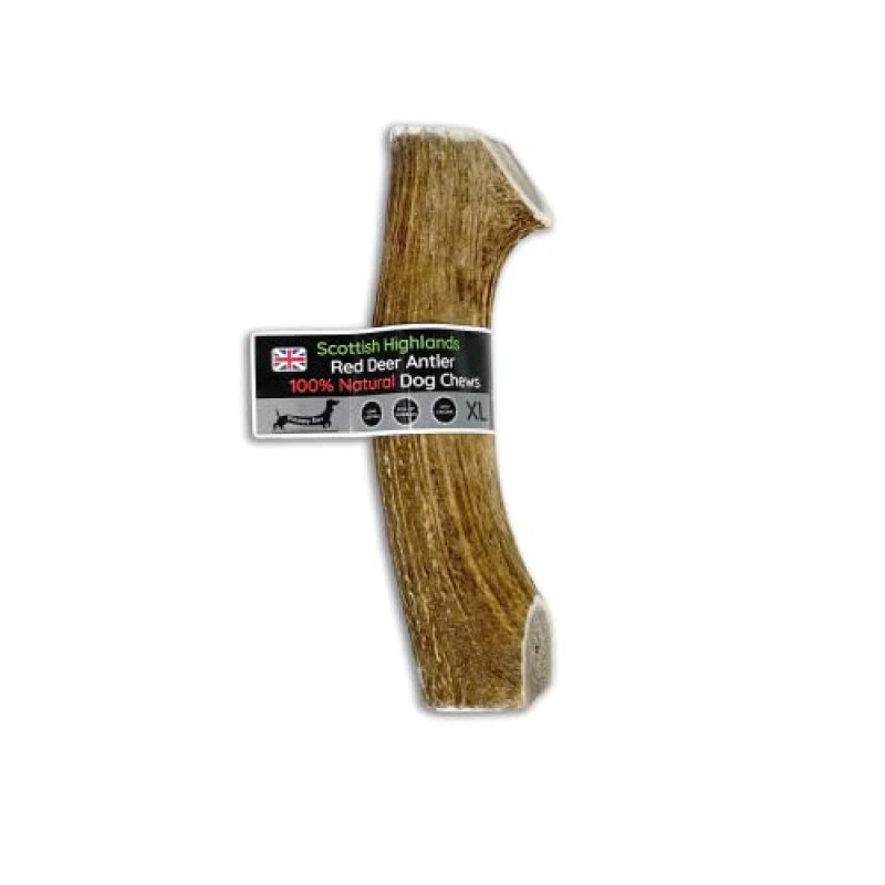 Deer Antler Chew for Dogs