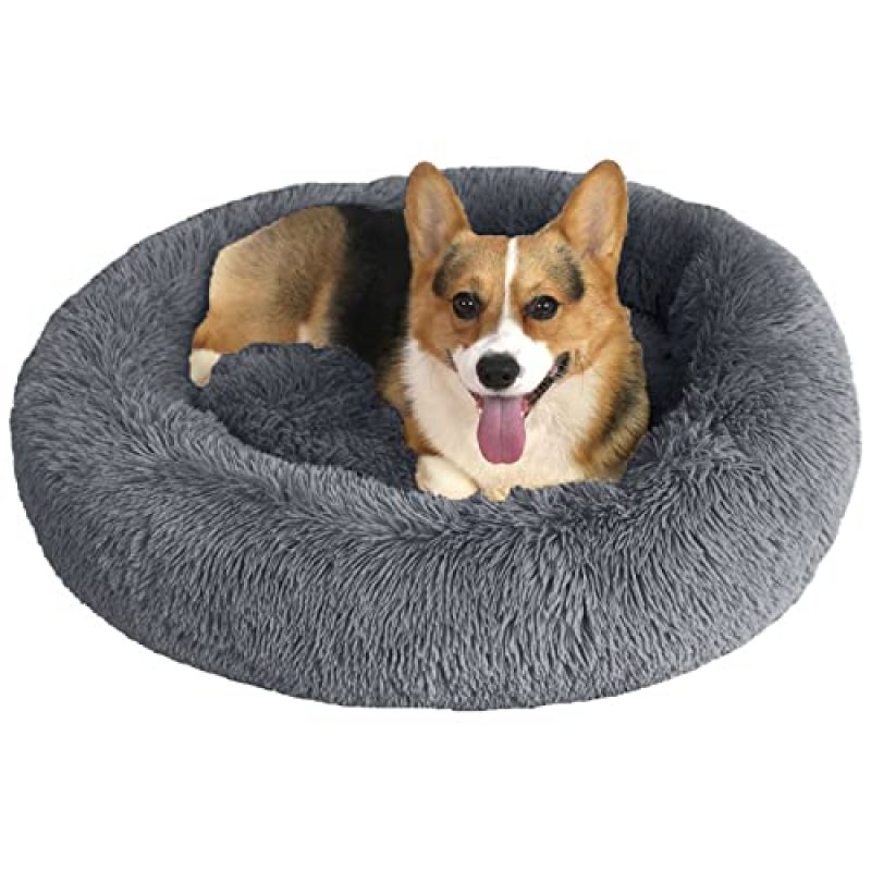 ASelected Dog Bed