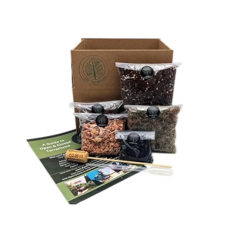 DIY Terrarium Kit with Terracotta Pebbles