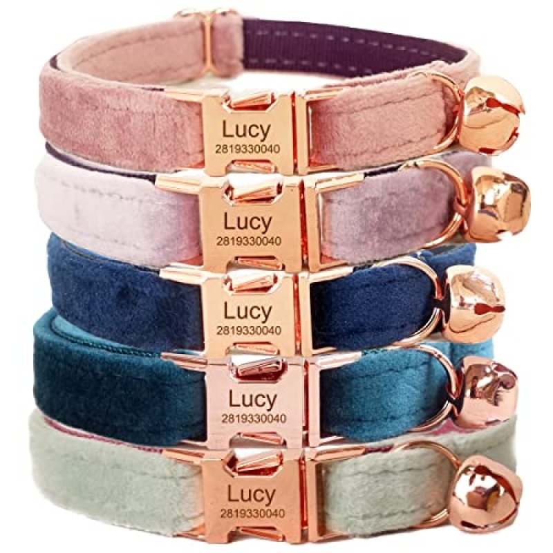 Personalised Cat Collar