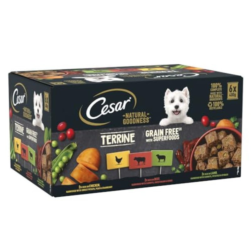 Cesar Wet Dog Food