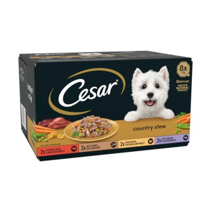 Cesar Wet Dog Food