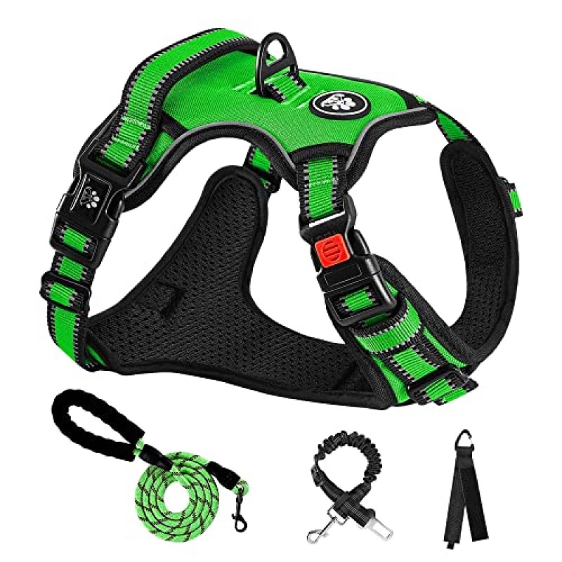 Nestroad Dog Harness and Lead