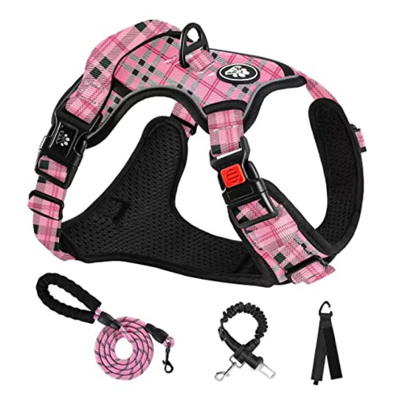 Nestroad Dog Harness & Lead