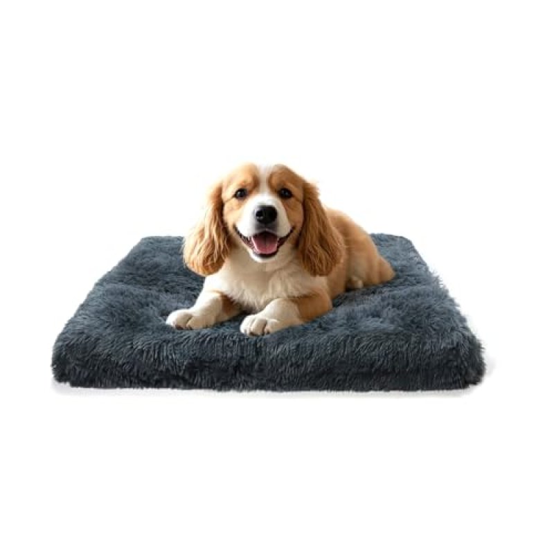 MDDK DY Pet Bed